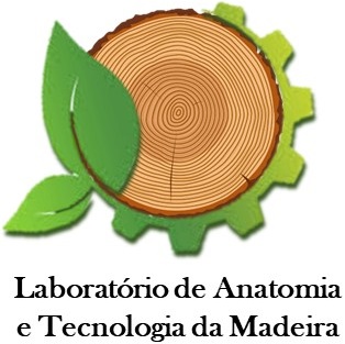 Logo_LANTOM.jpg